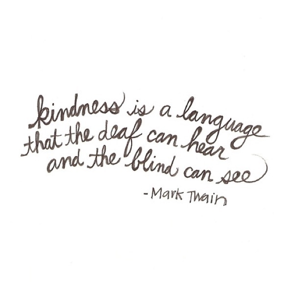 🌵 - Picture 5 of 8